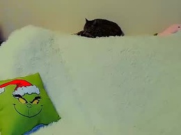 Screen Grab from not_nakedcat