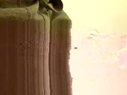 Screen Grab from overicome