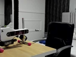 Screen Grab from parisbloom