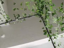Screen Grab from passionportal
