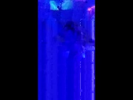 Screen Grab from penrodscott7