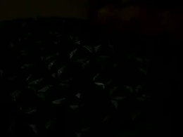 Screen Grab from peterlin87