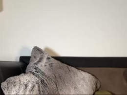 Screen Grab from pixiedaydream