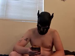 Screen Grab from puptav