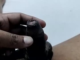 Screen Grab from rajan799