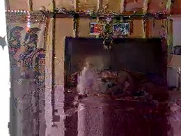 Screen Grab from realdadandson