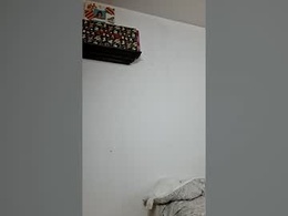 Screen Grab from reesex00x