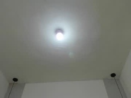 Screen Grab from renata_reyes11