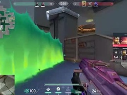 Screen Grab from reynspen