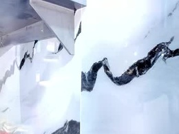 Screen Grab from salem_rosee