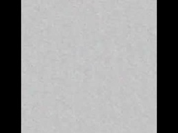 Screen Grab from salvek