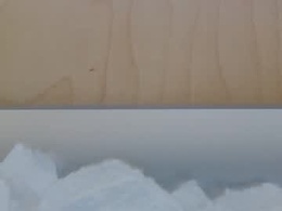 Screen Grab from scorpionvolant