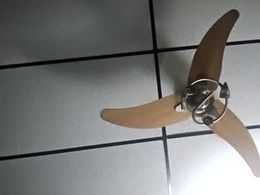 Screen Grab from scottmoe