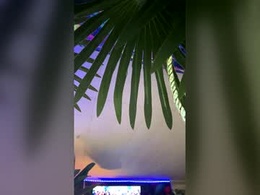 Screen Grab from seanplushouse