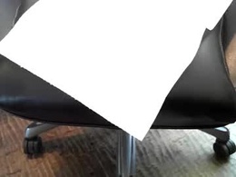 Screen Grab from senator851851