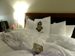Screen Grab from sexypossum