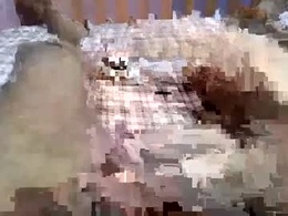 Screen Grab from shamrinas