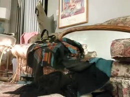 Screen Grab from sheasly12