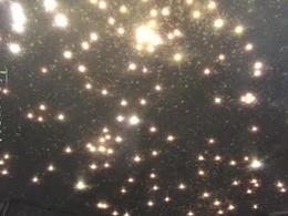 Screen Grab from shellyboom