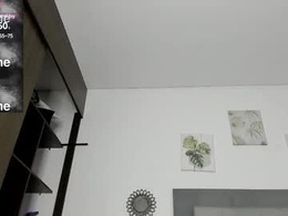 Screen Grab from shinycrystall