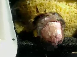 Screen Grab from sifridtx