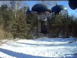 Screen Grab from silverthorne928