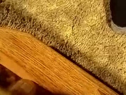 Screen Grab from skippytwoshoez