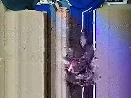 Screen Grab from slut4daddy01