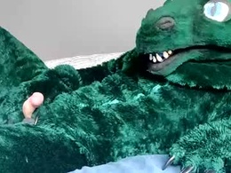 Screen Grab from smallgreendragon