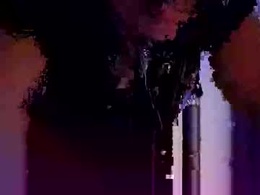 Screen Grab from ssebastian55