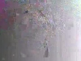 Screen Grab from sss591508