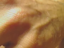 Screen Grab from stivglatpik