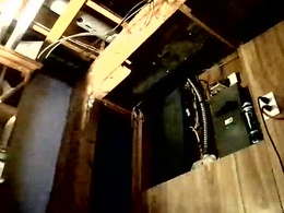 Screen Grab from stonedstallion2019