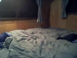 Screen Grab from studpuppy84