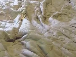 Screen Grab from subby_shaman