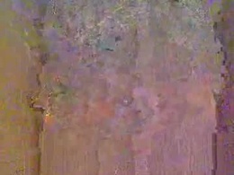 Screen Grab from suntrdr077