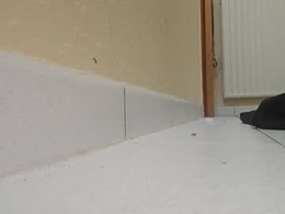 Screen Grab from tfouslamx