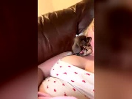 Screen Grab from themommypeach