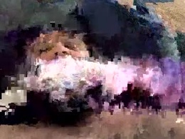 Screen Grab from thickcockkris69