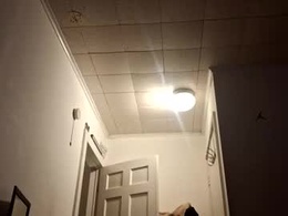 Screen Grab from tonetanight