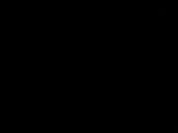 Screen Grab from tortoricejeffrey371