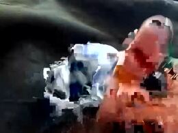 Screen Grab from toybuff