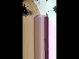 Screen Grab from tylerweist12987004