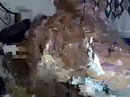 Screen Grab from tytycum14550