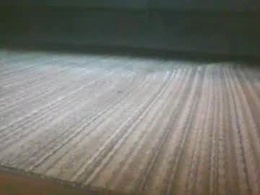 Screen Grab from up4grabbys