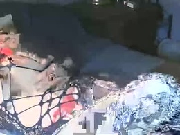 Screen Grab from vanessaanythinggoes