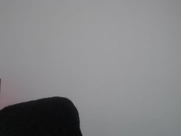 Screen Grab from violettouse