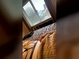 Screen Grab from viscfra