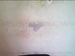 Screen Grab from wet_pussy200