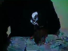 Screen Grab from wild71704513716